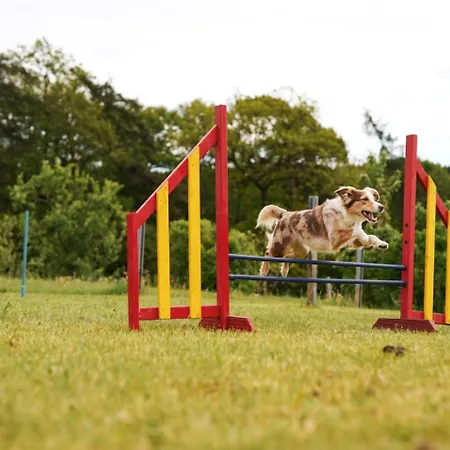 Hof Koehne - Altes - Dachstube Links Lejlighed *