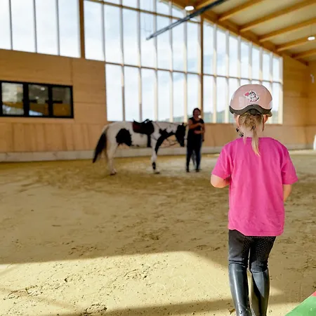 Lejlighed Hof Koehne - Altes - Dachstube Links Schmallenberg