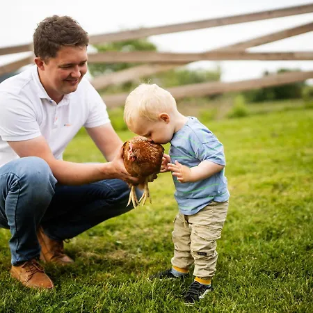 Hof Koehne - Altes - Dachstube Links Lejlighed *