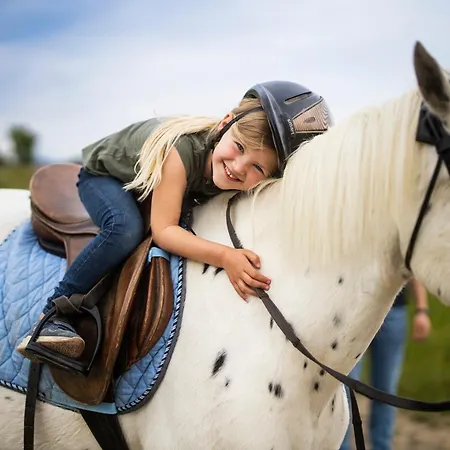 Hof Koehne - Altes - Dachstube Links Lejlighed