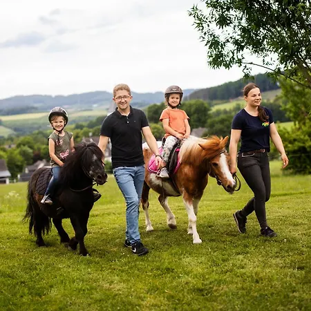 Hof Koehne - Altes - Dachstube Links * Schmallenberg