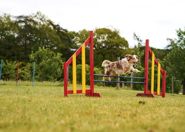 Hof Koehne - Altes - Dachstube Links Appartement *
