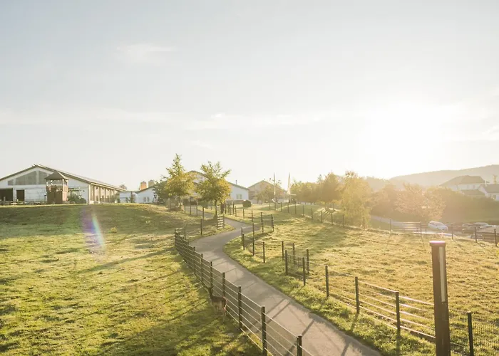 Hof Koehne - Altes - Dachstube Links * Schmallenberg