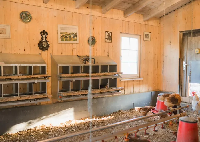 Hof Koehne - Altes - Dachstube Links Appartement Schmallenberg