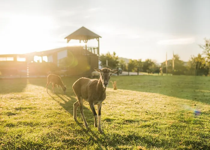 Appartement Hof Koehne - Altes - Dachstube Links