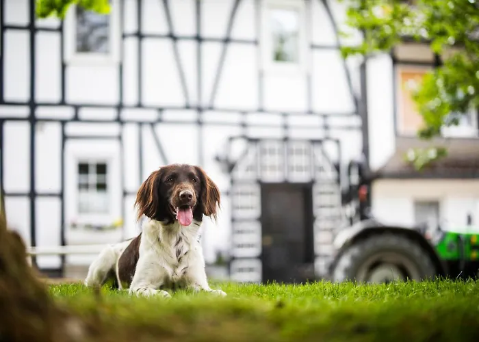 Hof Koehne - Altes - Dachstube Links Appartement Schmallenberg