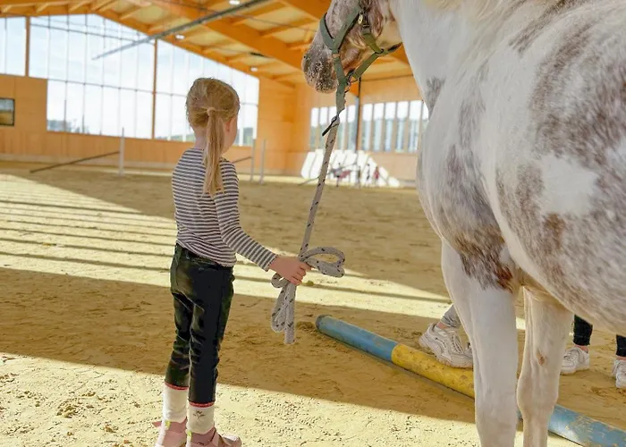 Hof Koehne - Altes - Dachstube Links *