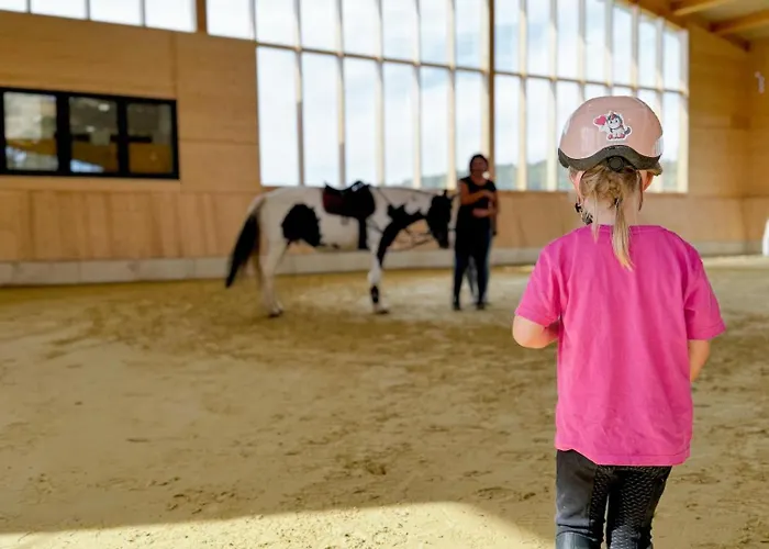 Appartement Hof Koehne - Altes - Dachstube Links Schmallenberg